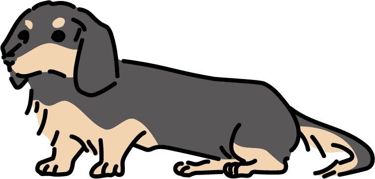 コンセプト画像